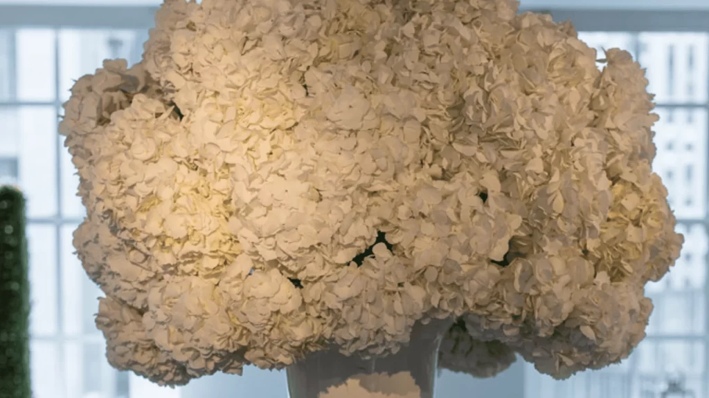 A massive bouquet of white flowers
